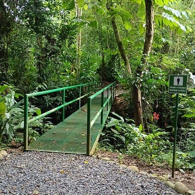 One of the bridges of ANURA