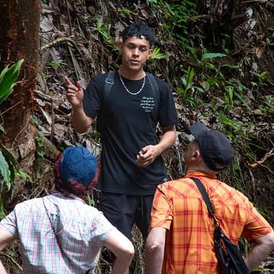 The Ultimate Jaco Waterfall Experience – Adventure & Serenity photo 5