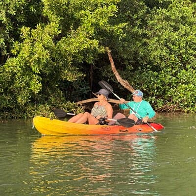 Mangrove River Kayak Tour Samara and Carrillo photo 2