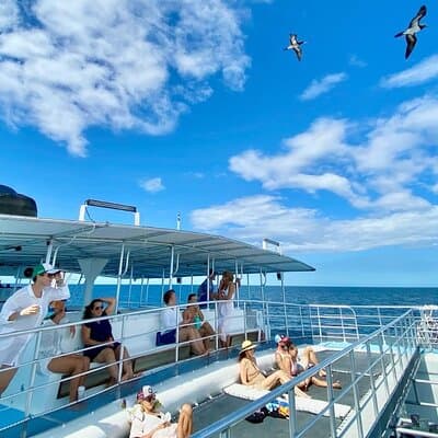 Snorkeling and Sunset Catamaran Cruise from Tamarindo photo 3