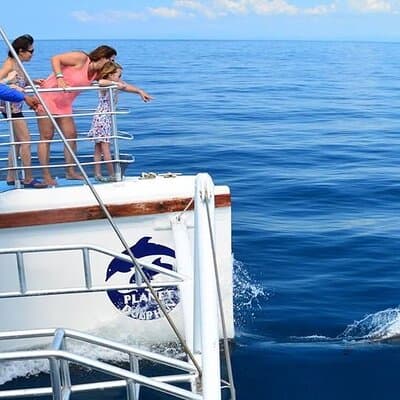 Snorkeling and Sunset Catamaran Cruise from Tamarindo photo 4