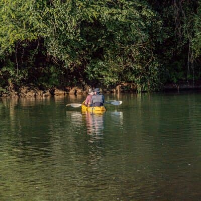 Mangrove River Kayak Tour Samara and Carrillo photo 3