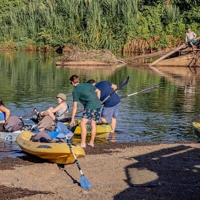 Mangrove River Kayak Tour Samara and Carrillo photo 4