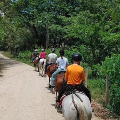 Horseback Riding in Puerto Carrillo: Beach & Jungle photo 5
